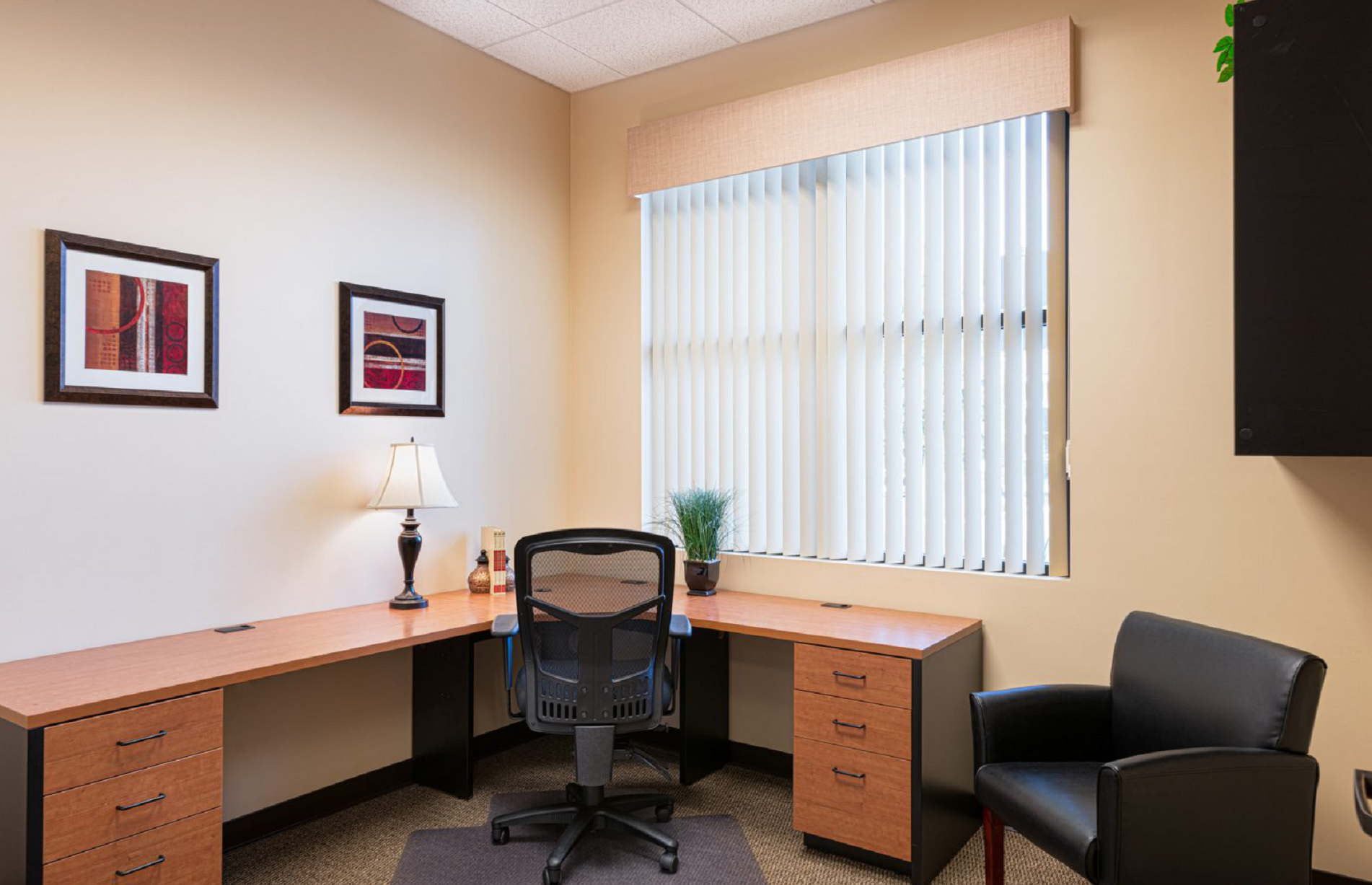 Private Executive Office Suite